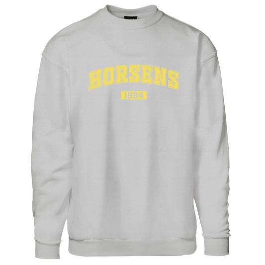 Horsens anno 1994 - Sweatshirt